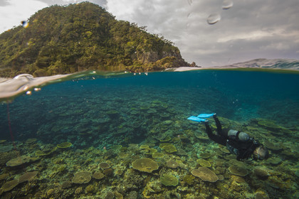 Okinawa , Japon